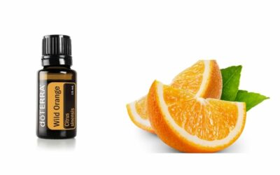 Das ätherische Öl der wilden Orange